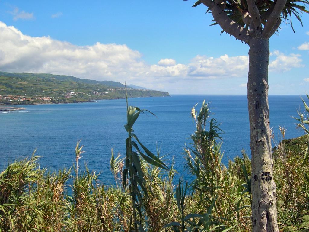 הוילה Ponta Delgada Casa Quinta Do Marques מראה חיצוני תמונה
